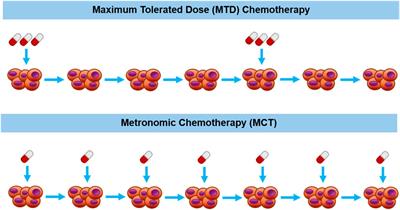 Optimizing cancer therapy: a review of the multifaceted effects of metronomic chemotherapy